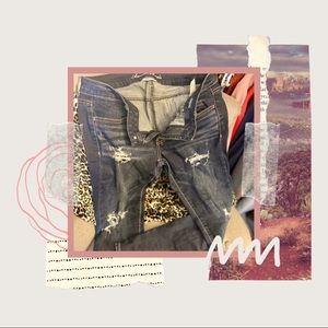 American Eagle Skinny Distressed Jegging